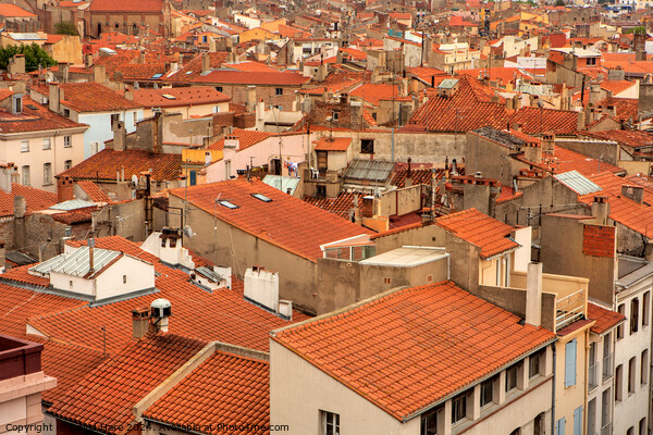 Perpignan Rooftops Picture Board by David Hare