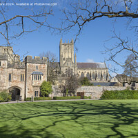 Buy canvas prints of Wells Cathedral by David Hare