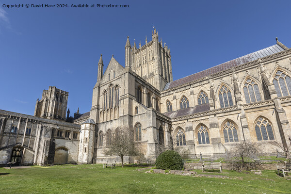 Wells Cathedral Picture Board by David Hare
