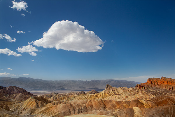 Zabriskie Point, Death Valley. Picture Board by David Hare