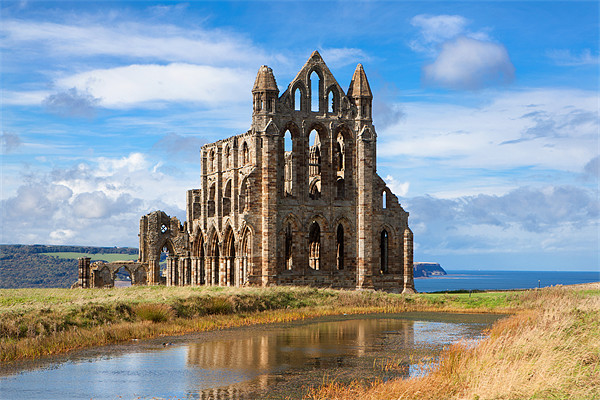 Whitby Abbey Picture Board by David Hare