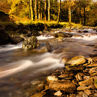Buy canvas prints of Lakeland stream by David Hare