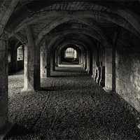 Buy canvas prints of A Priory Vault. by David Hare