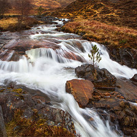 Buy canvas prints of Scottish Falls by David Hare