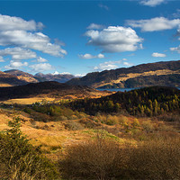 Buy canvas prints of Highland View. by David Hare