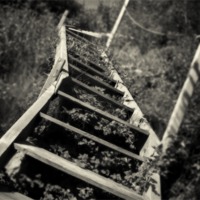 Buy canvas prints of Overgrown stairs by David Hare