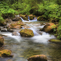 Buy canvas prints of A Swiss stream. by David Hare