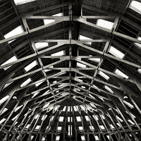 Buy canvas prints of Symmetrical timber by David Hare