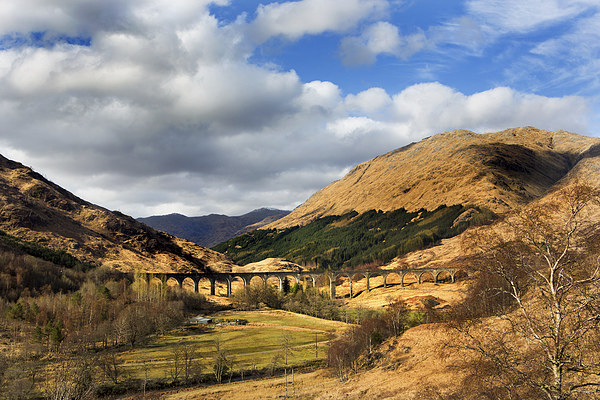 Glenfinnan Viaduct Picture Board by David Hare