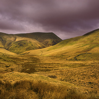 Buy canvas prints of Moorland Views by David Hare