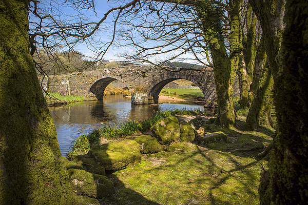 Two Bridges Dartmoor Picture Board by David Hare