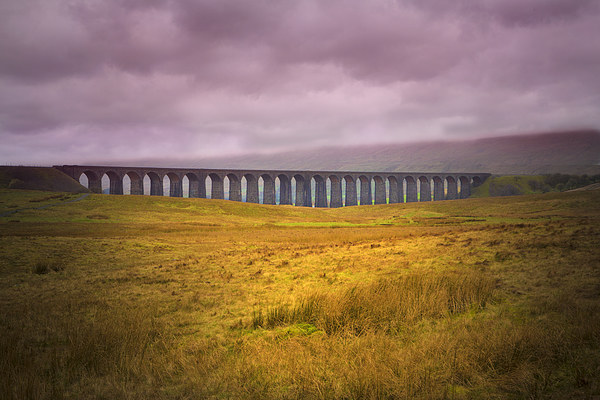 Ribblehead Viaduct Picture Board by David Hare