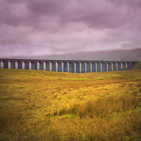 Buy canvas prints of Ribblehead Viaduct by David Hare
