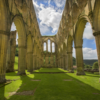 Buy canvas prints of Rievaulx Abbey by David Hare