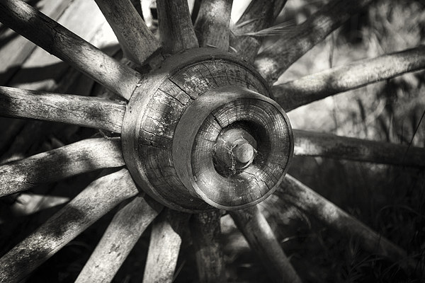 Wagon Wheel Picture Board by David Hare