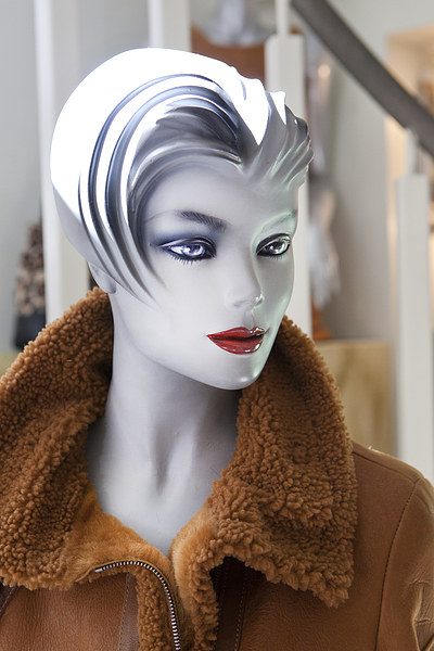  Mannequin 74 Picture Board by David Hare