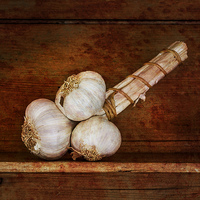 Buy canvas prints of  Bunch of garlic by David Hare