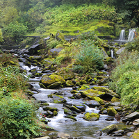Buy canvas prints of Glen Lyn Gorge by David Hare