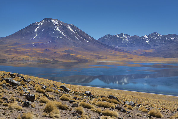 Laguna Miscanti Picture Board by David Hare