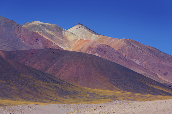  Painted Atacama Picture Board by David Hare