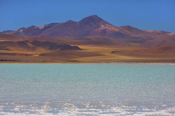 Atacama Salt Lake Picture Board by David Hare