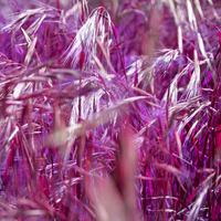 Buy canvas prints of  Purple Grain by David Hare