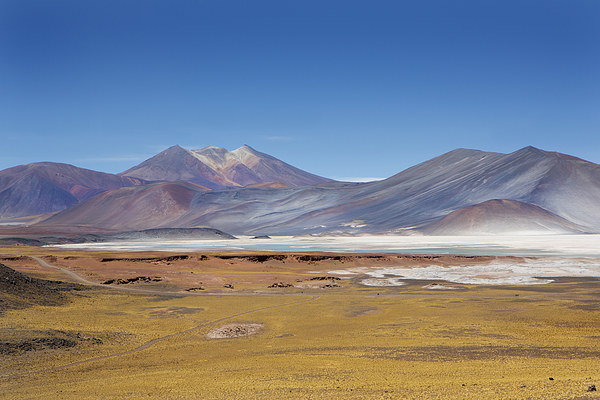  Atacama Hills Picture Board by David Hare