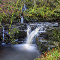 Buy canvas prints of  Woodland Falls by David Hare