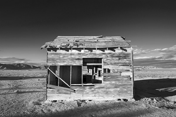  Derelict Shack in Apple Valley. Picture Board by David Hare