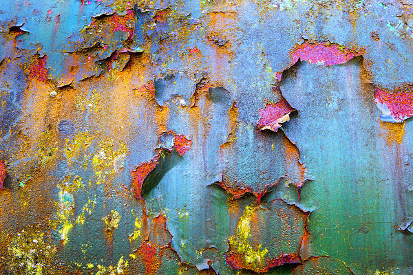  Peeling paint and rust Picture Board by David Hare