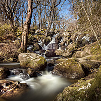 Buy canvas prints of Becky Falls in Spring by David Hare