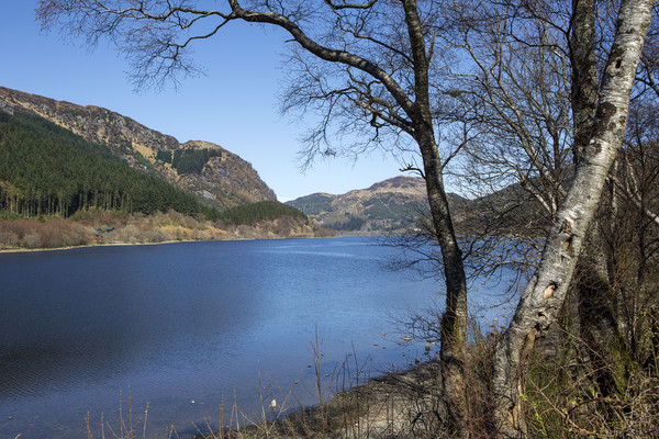 Loch Lubnaig Picture Board by David Hare