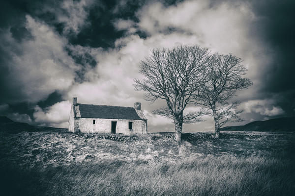Highland Cottage, monochrome. Picture Board by David Hare