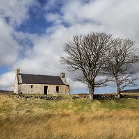 Buy canvas prints of Highland Cottage. by David Hare