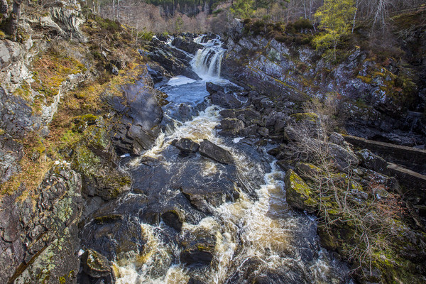 Rogie Falls Picture Board by David Hare
