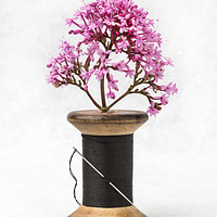 Buy canvas prints of Wooden Vase by David Hare