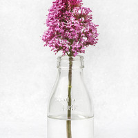 Buy canvas prints of Tiny Vase by David Hare