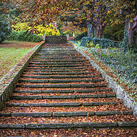 Buy canvas prints of Autumnal Stairs by David Hare