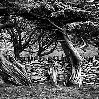 Buy canvas prints of Old wood and stone by David Hare