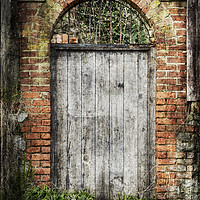 Buy canvas prints of Old Doorway by David Hare