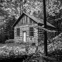 Buy canvas prints of Woodland Shed by David Hare