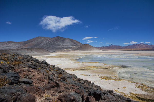 Atacama Salt Lake Picture Board by David Hare