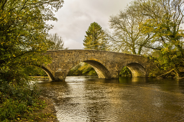 Bridge at Badgers Holt. Picture Board by David Hare