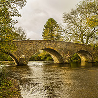 Buy canvas prints of Bridge at Badgers Holt. by David Hare