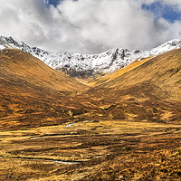 Buy canvas prints of Highland Glen by David Hare