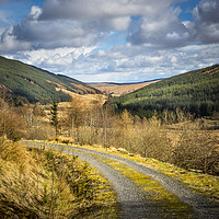 Buy canvas prints of Rural roadway. by David Hare