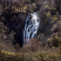Buy canvas prints of Silver Falls by David Hare