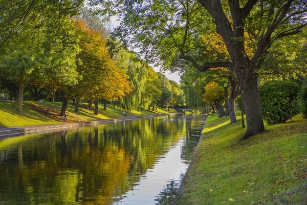Military Canal in Autumn Picture Board by David Hare
