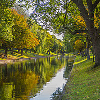 Buy canvas prints of Military Canal in Autumn by David Hare