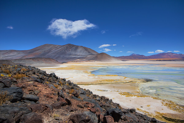 Atacama Salt lake Picture Board by David Hare